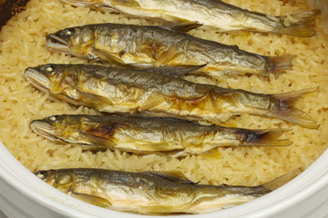 鮎飯