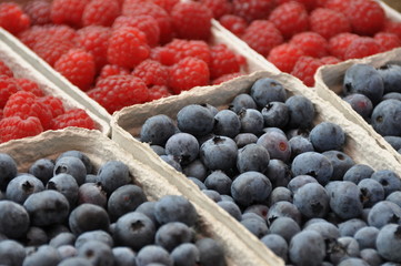 Blaubeeren und Himbeeren
