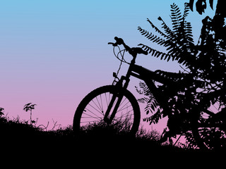 Bicycle on sunset