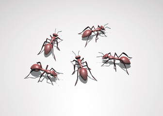 3D bugs