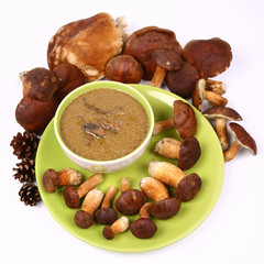 Mushroom soup with mushrooms around it