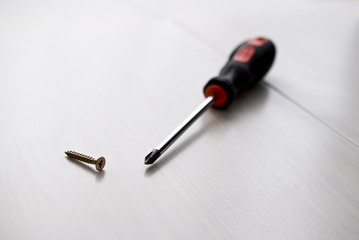 vis &agrave; bois et tournevis cruciforme