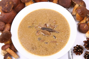 Mushroom soup surrounded by some fresh mushrooms