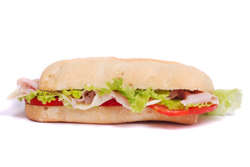 fresh and tasty sandwich