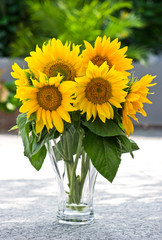 Sunflowers in a transparent glass vase on nature background
