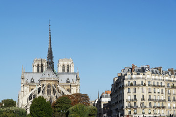 Ile de la cité, Notre dame de Paris