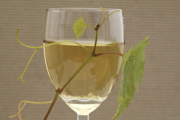 ein Glas Weißwein mit Laub