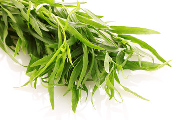 Tarragon  and mortar  isolated on white