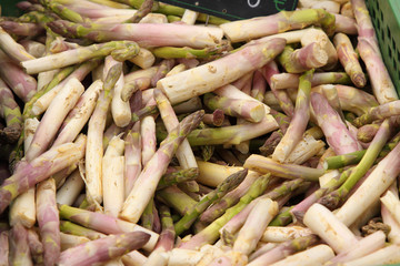 harvest delicious fresh asparagus all for sale