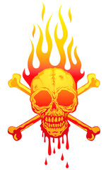 skull in flames