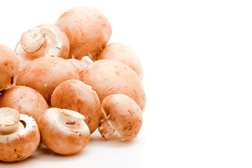 isolated champignons
