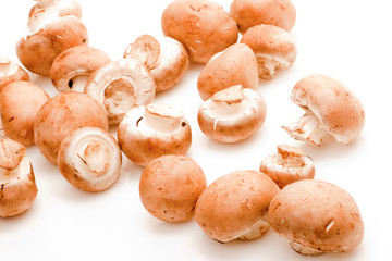 isolated champignons