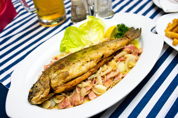 Trout in Czech