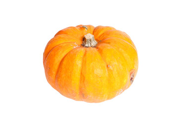calabaza de otoño
