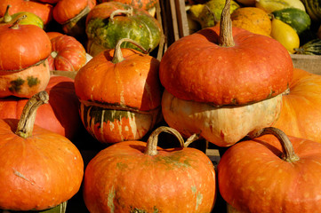 Pumpkins