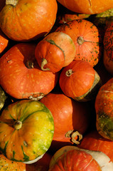 Pumpkins