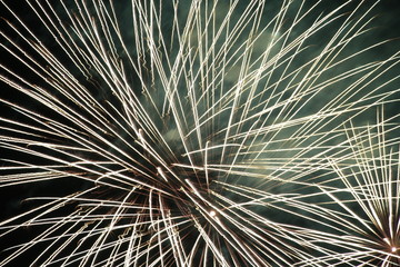 Obraz premium Fireworks beautiful bright colors and shapes