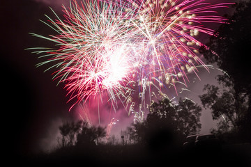 Fireworks beautiful bright colors and shapes