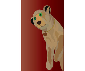 lion cub with green eyes