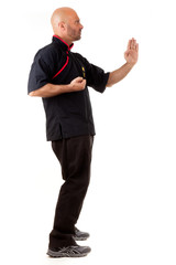 wing tsun kampfposition 2