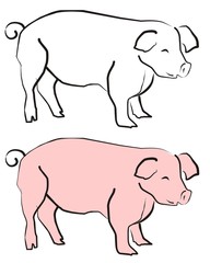 Schwein004