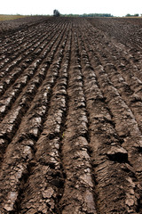 Plowed field