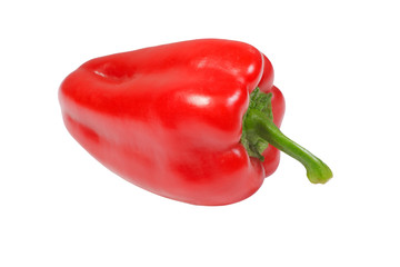 Red fresh paprika on a white background