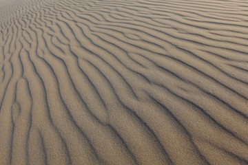 Sand dunes detail