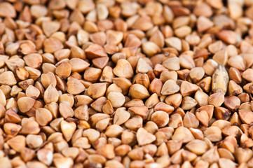 buckwheat texture