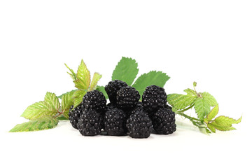 Brombeeren