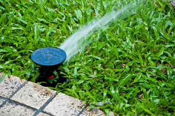 sprinkler in yard