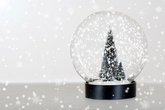 Christmas Tree Snow Globe