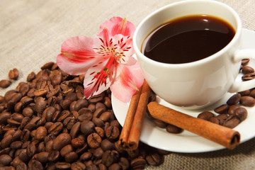 cup of coffee with tubes of cinnamon