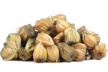 Physalis fruit