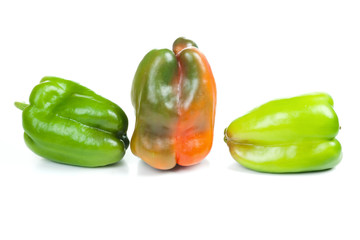 Peppers family