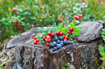 Wild berries