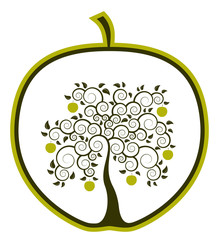 apple tree in apple
