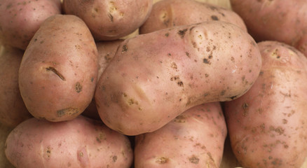 Many raw unpeeled red potatoes horizontal view closeup
