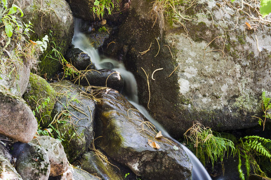 Gavilanes Images Browse 55 Stock Photos, Vectors, and Video Adobe Stock