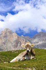 Geislergruppe - Dolomiten - Alpen