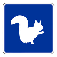 blue squirel sign