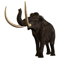 Woolly Mammoth 01
