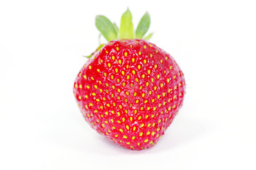 strawberries
