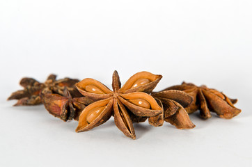 Sternanis