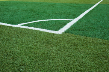 Obraz premium green grass, soccer field