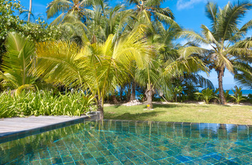 Palms Exotic Pool