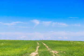 Forward Through the Green Path