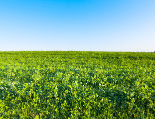 Farming Grass Area Country Meadow
