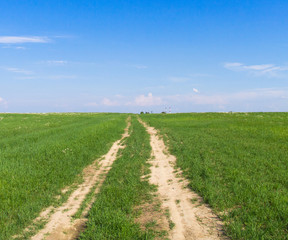 Fototapeta na wymiar Forward In a Field Path