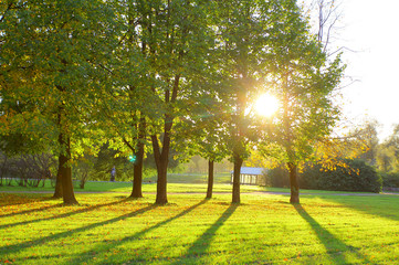 Obraz premium Beams Park Sunset